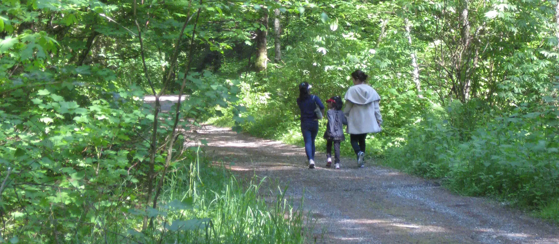 숲길을 손잡고 함께 걸어가는 세 사람의 뒷모습